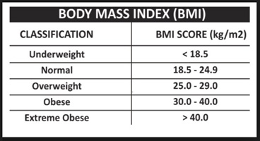 bmr based on body fat